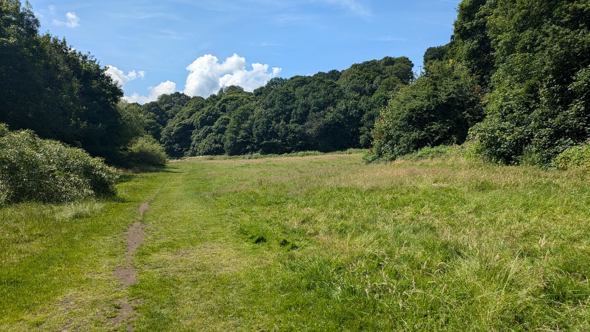 A more peaceful meadow towards the end