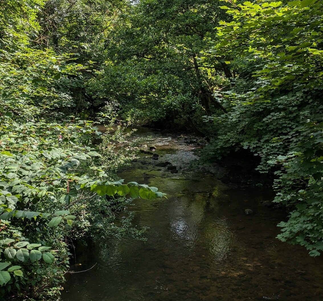 River near the start of the walk