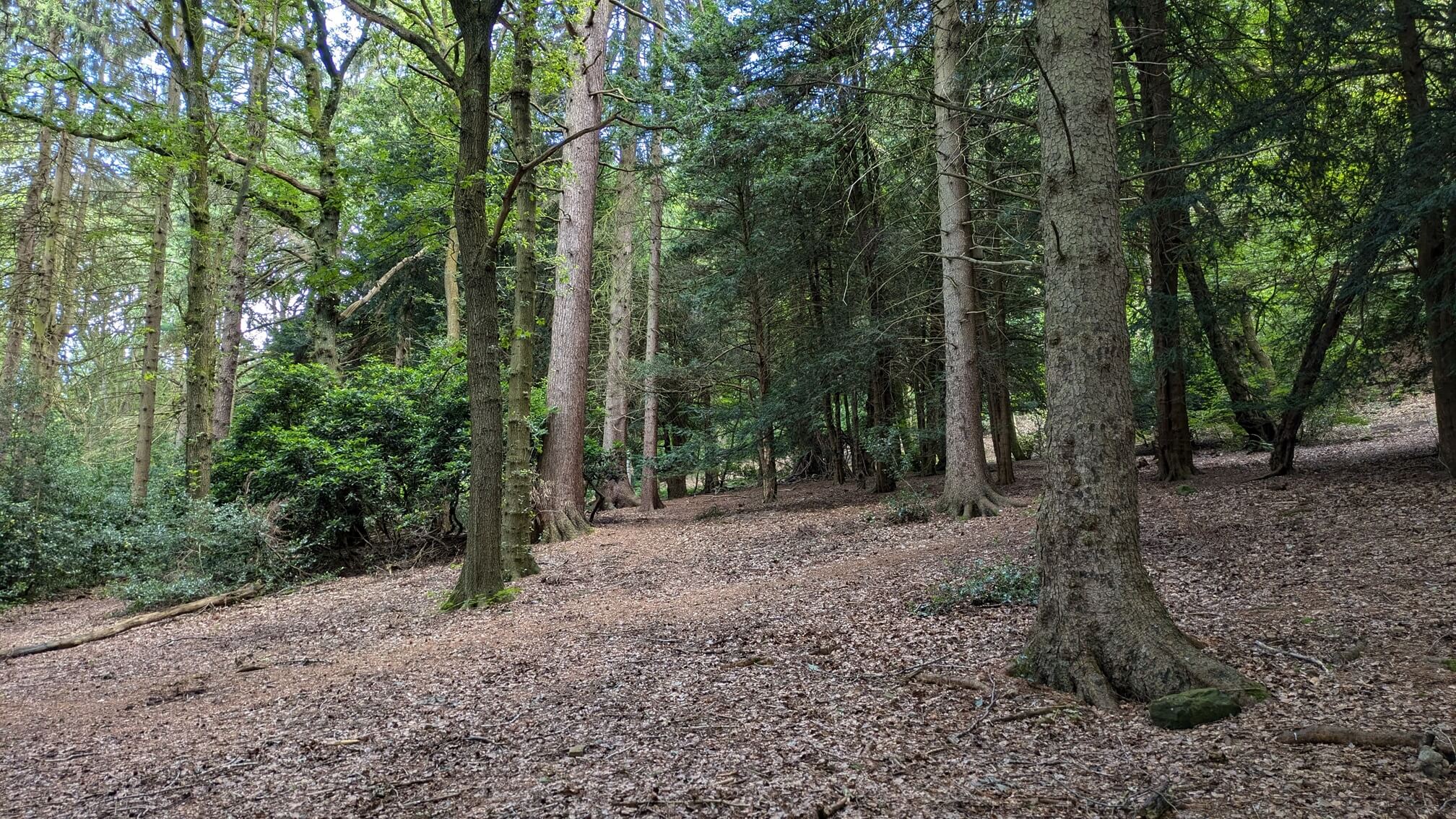 Halfway up a large hill